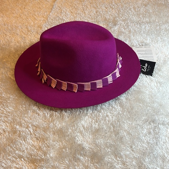 Echo Fedora Hat - Picture 2 of 7